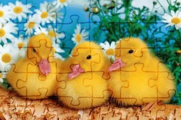image jigsaw puzzle