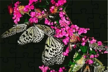 b2 jigsaw puzzle