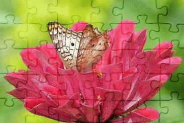 b3 jigsaw puzzle