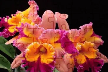 f3 jigsaw puzzle
