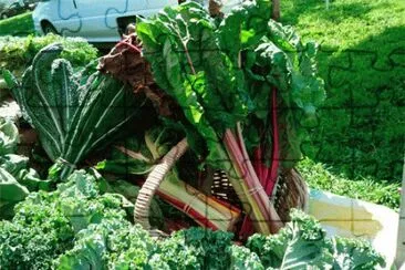 farm fresh