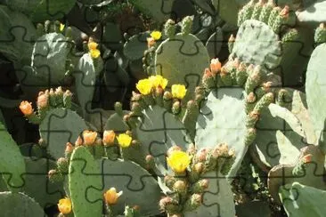 Natura