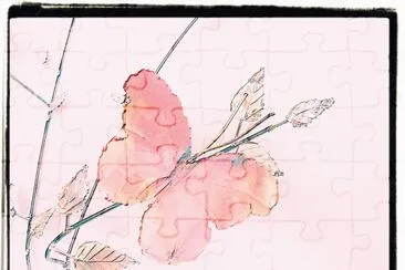 Butterfly Decor
