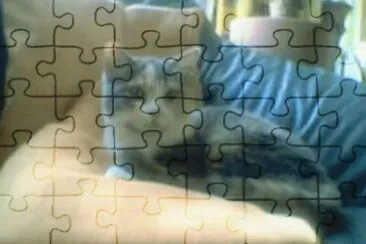 Minka jigsaw puzzle