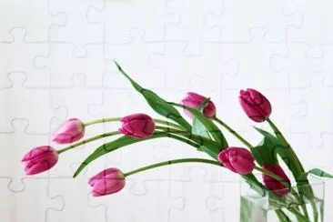 still life jigsaw puzzle