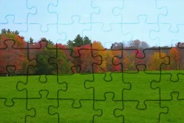 autumn woods jigsaw puzzle