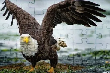 . jigsaw puzzle