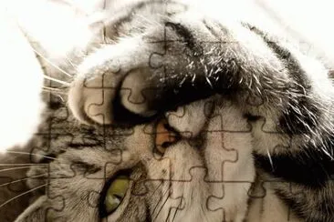 . jigsaw puzzle