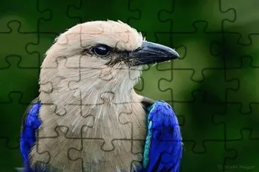. jigsaw puzzle