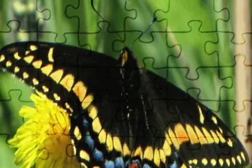 . jigsaw puzzle