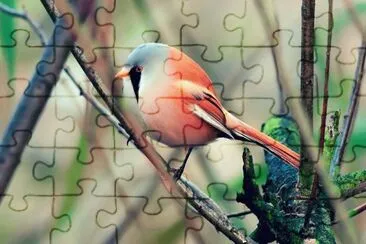 . jigsaw puzzle
