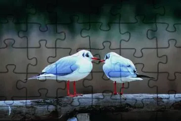 Buffi pennuti jigsaw puzzle