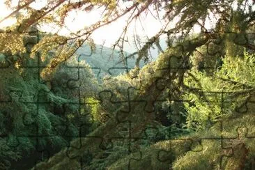 Bosco di Belogaio jigsaw puzzle