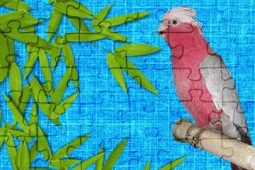 image jigsaw puzzle