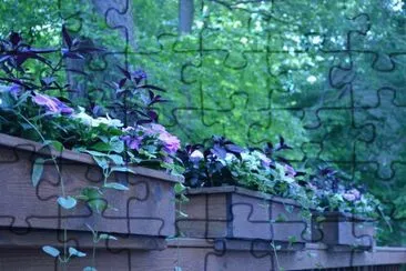 Flowering Window Boxes jigsaw puzzle