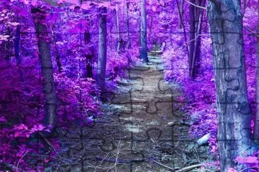 Purple Pathway-Art jigsaw puzzle