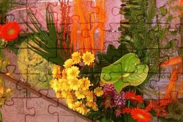Temps de flors 2011
