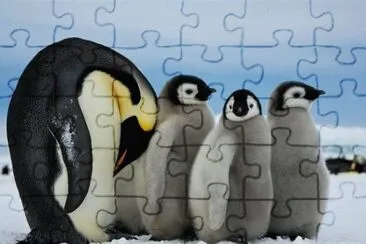 . jigsaw puzzle