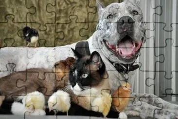.