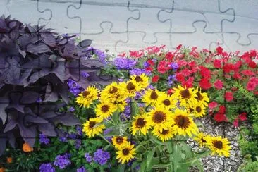 flores jigsaw puzzle
