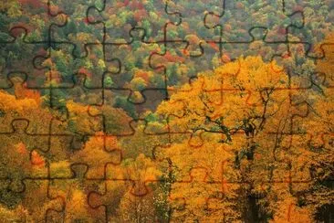 Appalachian autumn