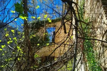 MOLINO EN RUINAS