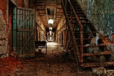 פאזל של Ghost cats of E. State Penitentiary