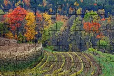 cropped fields