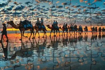 פאזל של caravan