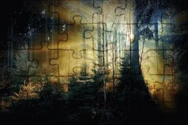 beautiful forests