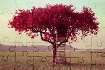 treehouse