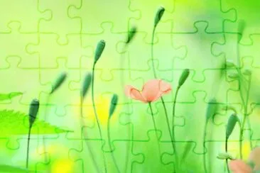 simply beautiful jigsaw puzzle