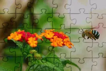 things jigsaw puzzle