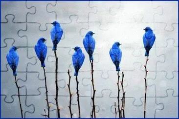 ImÃ¡genes jigsaw puzzle