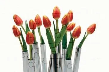 single flower vases