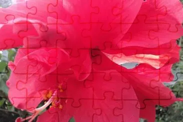 ImÃ¡genes jigsaw puzzle