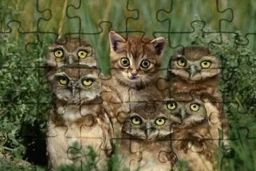 ImÃ¡genes jigsaw puzzle