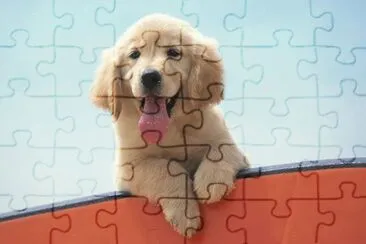 ImÃ¡genes jigsaw puzzle