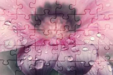 ImÃ¡genes jigsaw puzzle