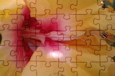 ImÃ¡genes jigsaw puzzle