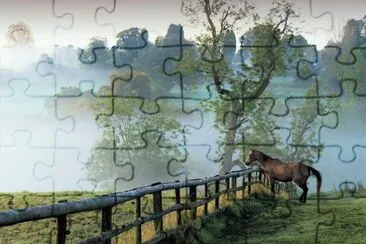 Mist and the horse