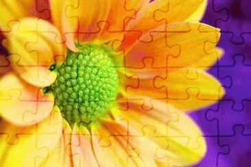 image jigsaw puzzle