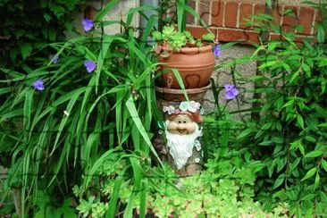 jardin