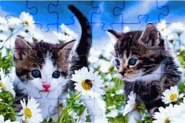 g jigsaw puzzle