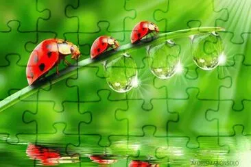 g jigsaw puzzle