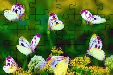 g jigsaw puzzle
