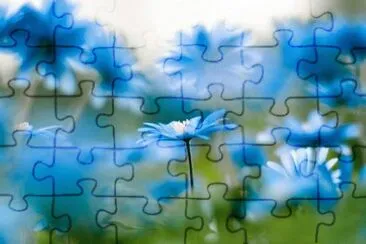 g jigsaw puzzle