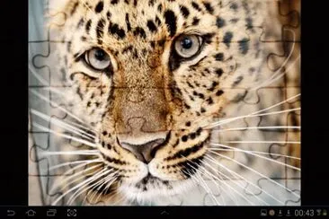 big cat 3