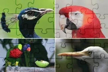 Profili jigsaw puzzle