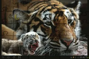 big cat 7 jigsaw puzzle